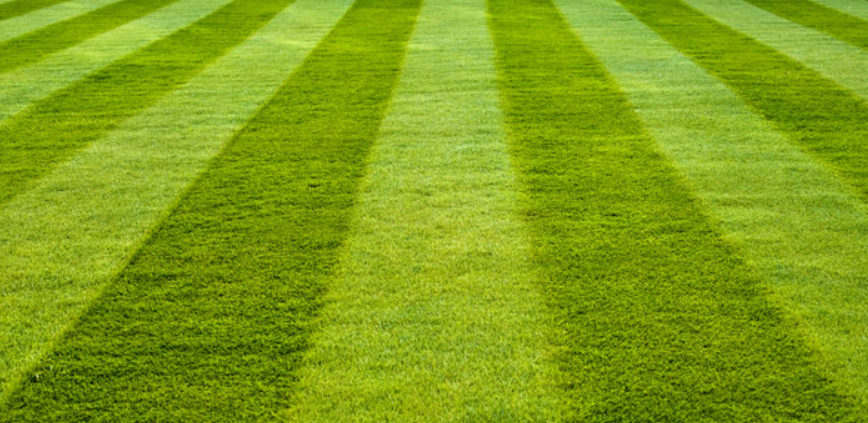 Taking Care Of Your Lawn – 101 Guide
