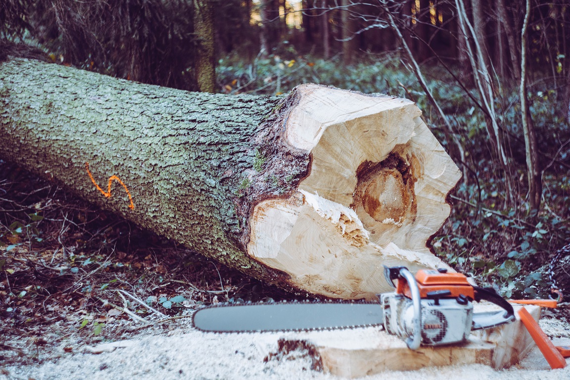 How to use a Chainsaw Sharpener Wiki Machine