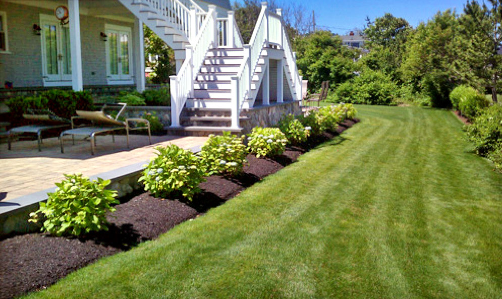 A Lawn to Be Proud of and How to Grow it