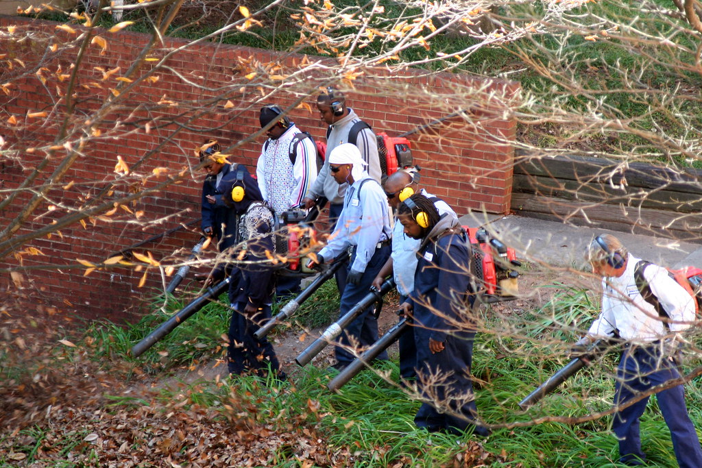 Leaf Blowing And What The Law Says Wiki Machine