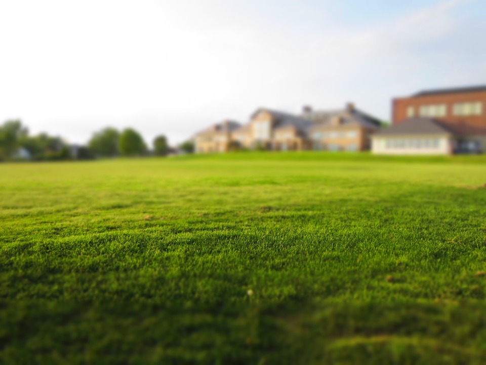 Patchy Grass? This Is What You Can Do