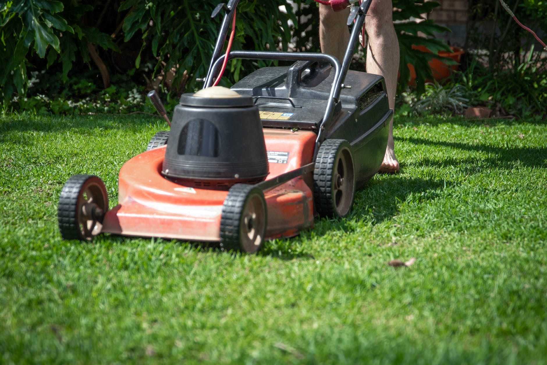 Tools You Need to Grow and Keep a Lawn